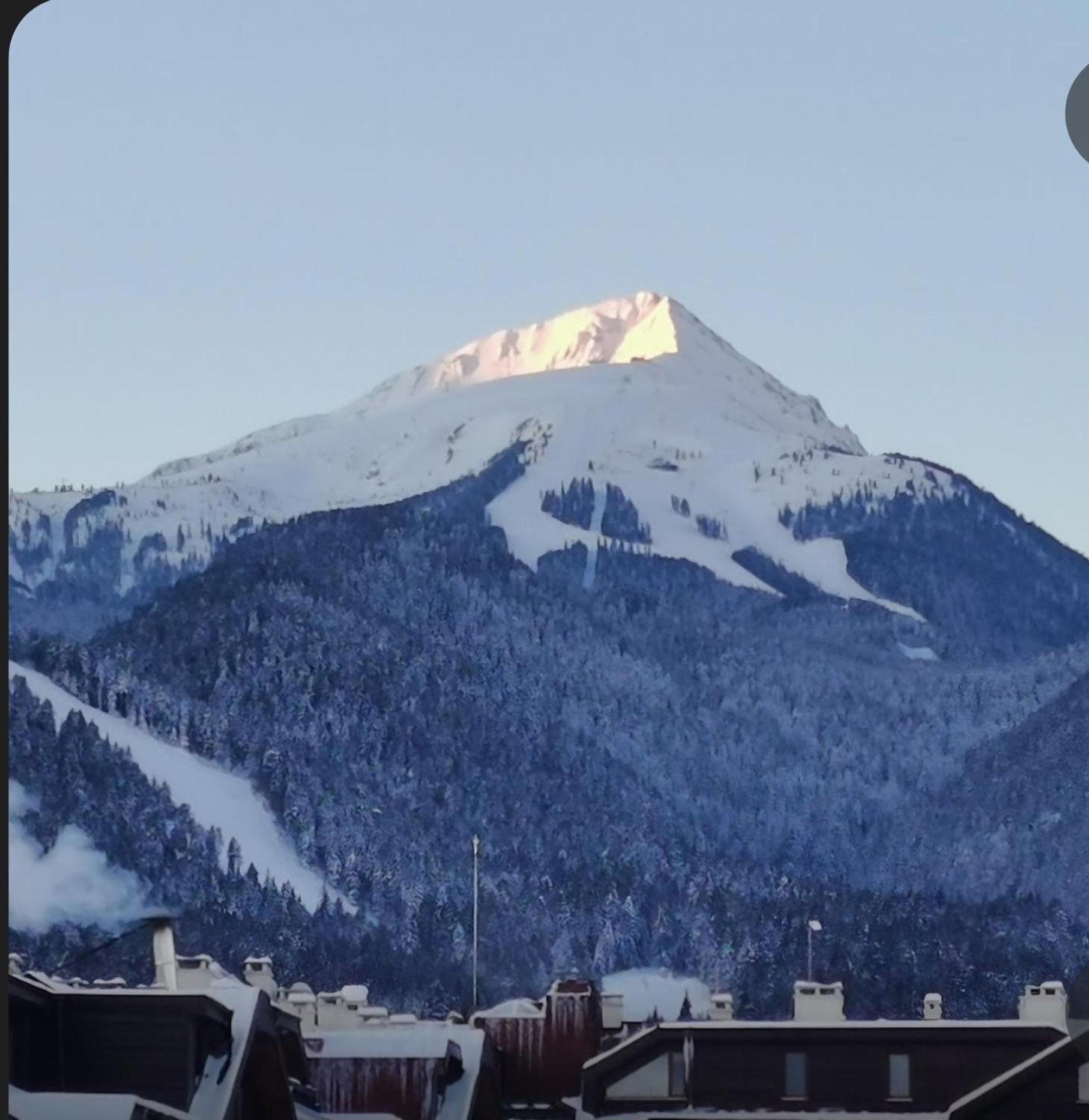 Guest Bansko